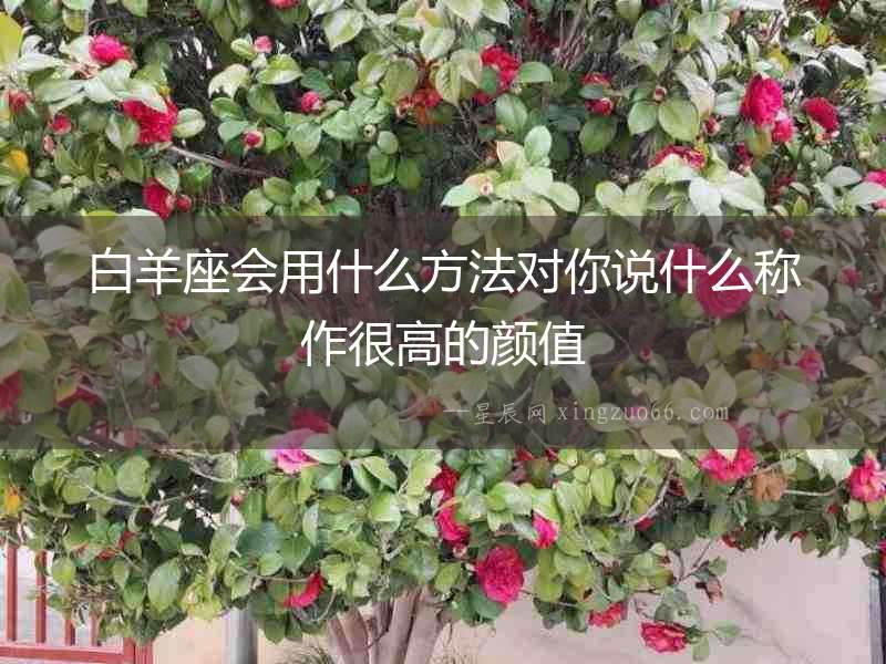 白羊座會用什么方法對你說什么稱作很高的顏值