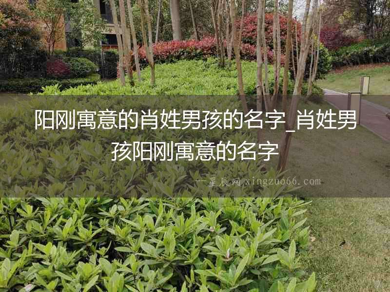 陽剛寓意的肖姓男孩的名字_肖姓男孩陽剛寓意的名字