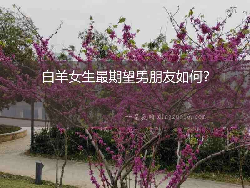白羊女生最期望男朋友如何？