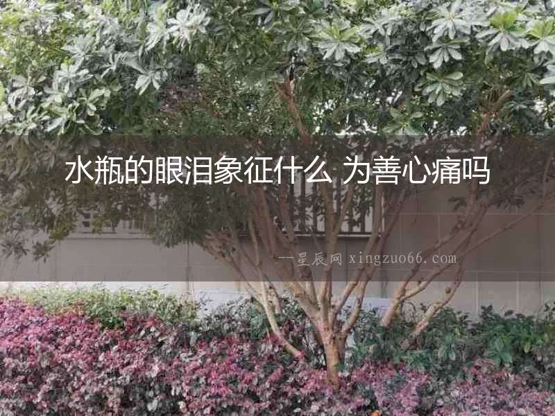 水瓶的眼淚象征什么 為善心痛嗎