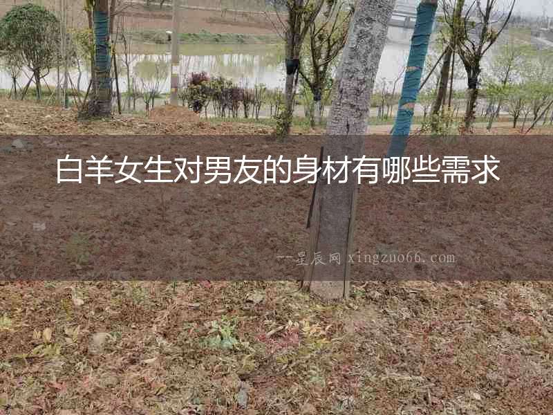 白羊女生對(duì)男友的身材有哪些需求