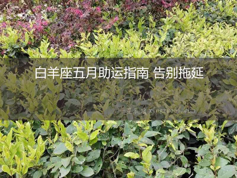 白羊座五月助運指南 告別拖延