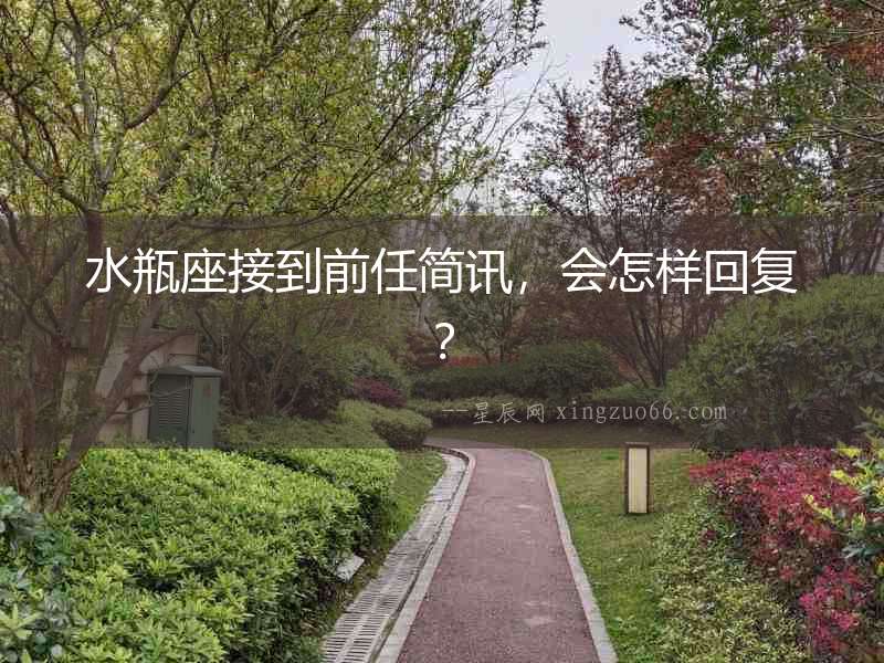 水瓶座接到前任簡訊，會怎樣回復？