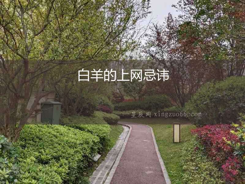 白羊的上網(wǎng)忌諱