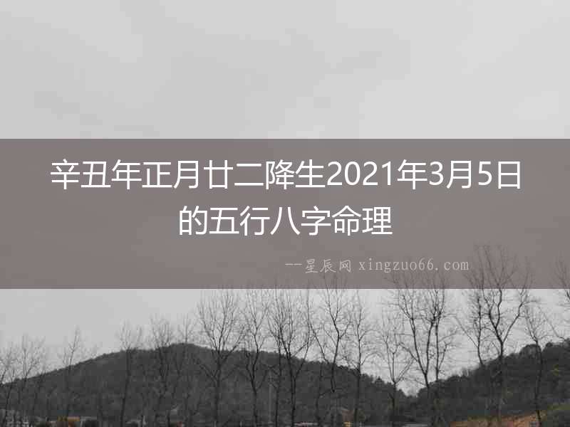 辛丑年正月廿二降生2021年3月5日的五行八字命理