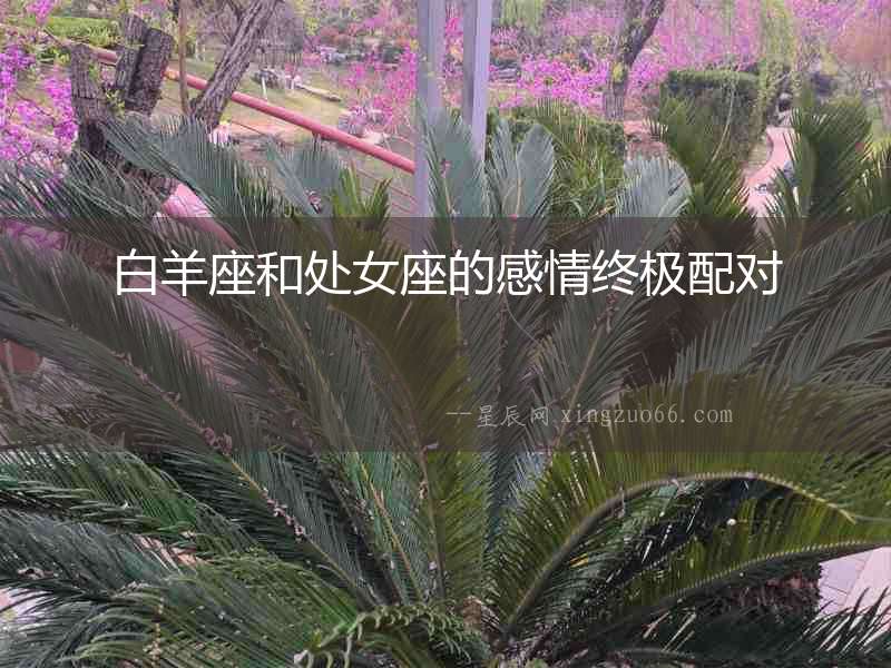 白羊座和處女座的感情終極配對