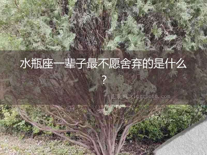 水瓶座一輩子最不愿舍棄的是什么？