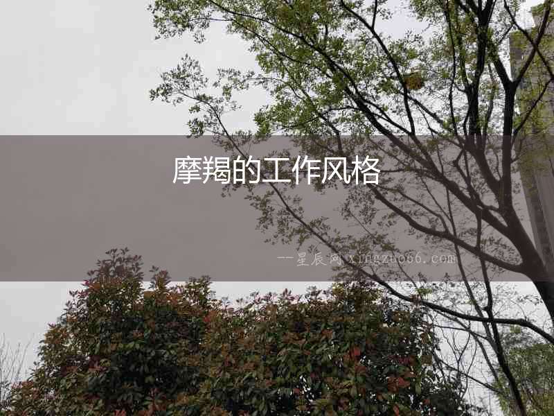 摩羯的工作風(fēng)格
