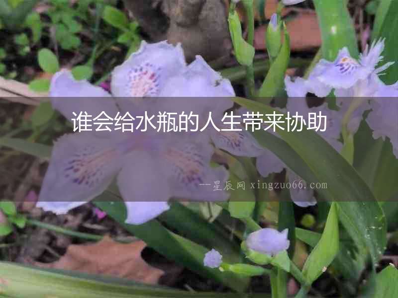 誰會給水瓶的人生帶來協(xié)助