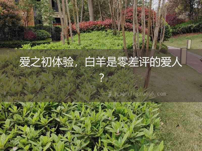 愛之初體驗，白羊是零差評的愛人？
