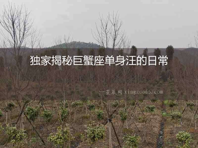 獨(dú)家揭秘巨蟹座單身汪的日常