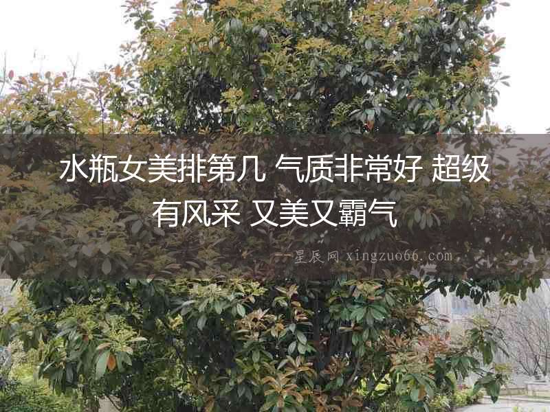 水瓶女美排第幾 氣質非常好 超級有風采 又美又霸氣