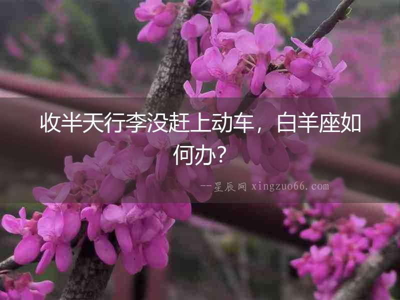 收半天行李沒趕上動車，白羊座如何辦？