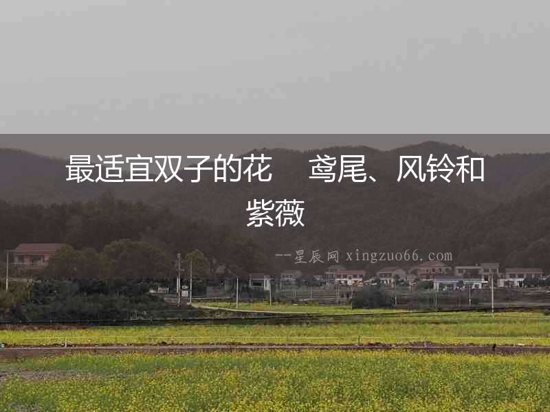 最適宜雙子的花    鳶尾、風鈴和紫薇