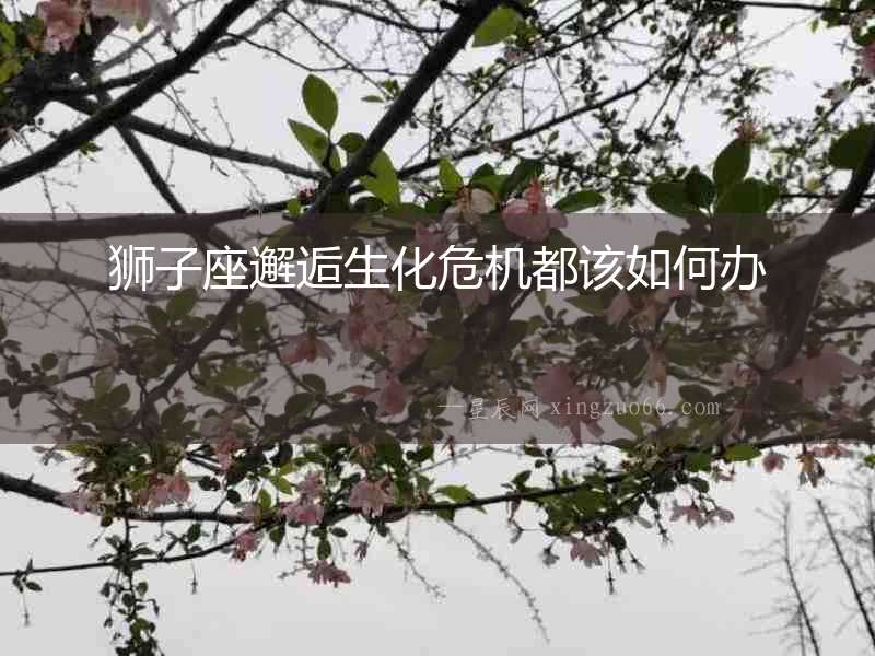 獅子座邂逅生化危機都該如何辦