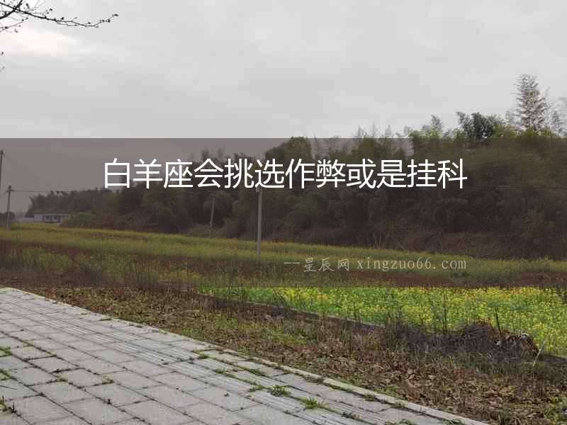 白羊座會挑選作弊或是掛科
