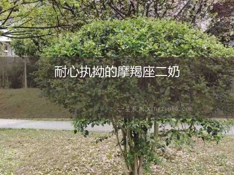 耐心執(zhí)拗的摩羯座二奶