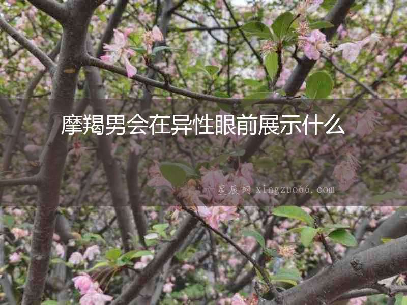 摩羯男會在異性眼前展示什么