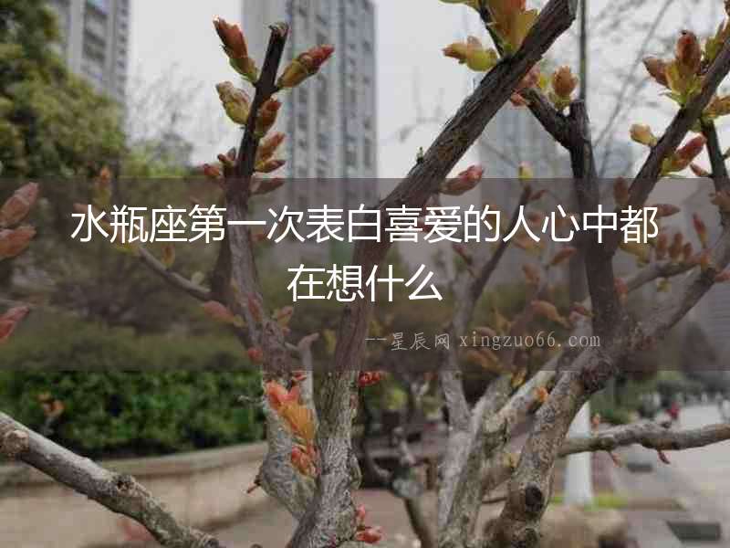 水瓶座第一次表白喜愛的人心中都在想什么
