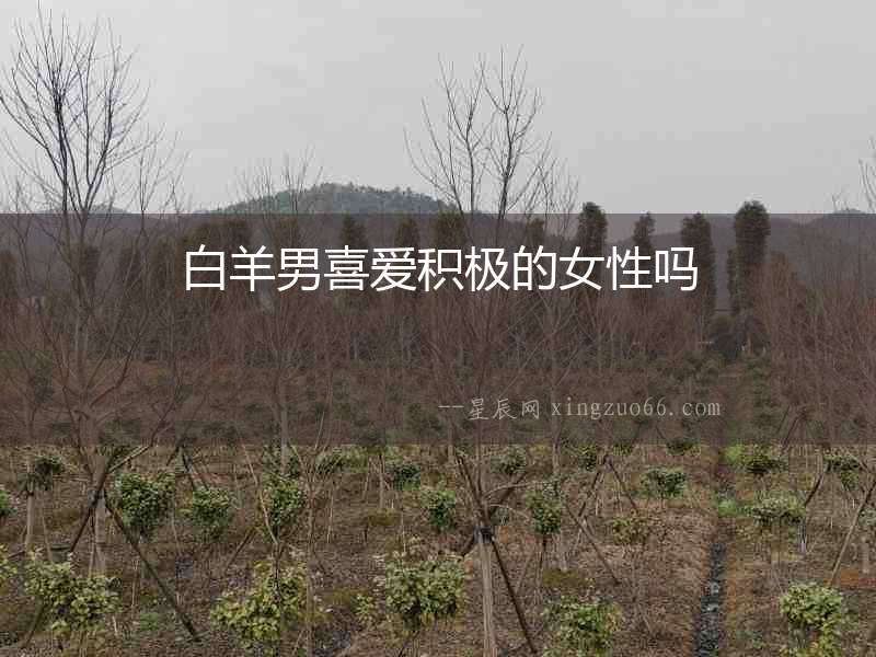 白羊男喜愛積極的女性嗎