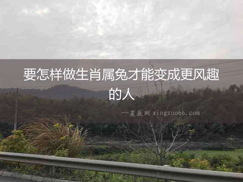 要怎樣做生肖屬兔才能變成更風(fēng)趣的人