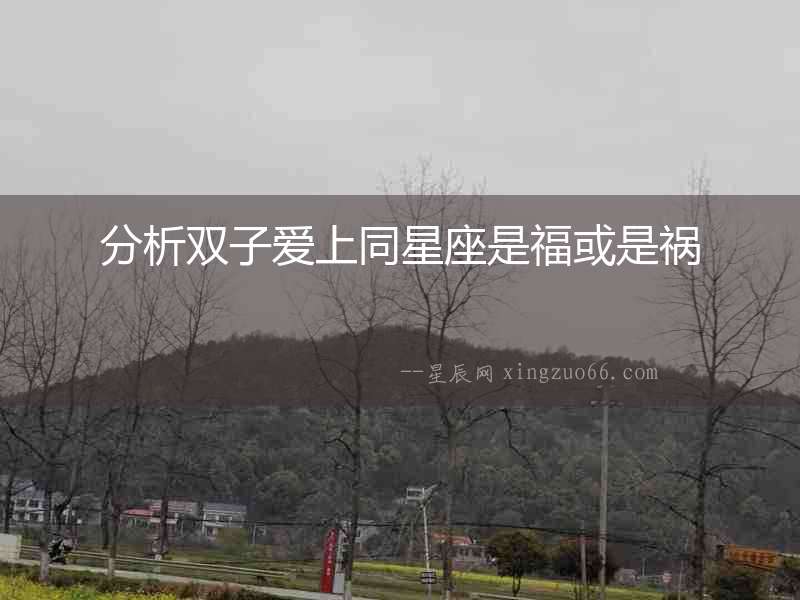 分析雙子愛上同星座是福或是禍