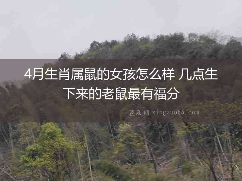 4月生肖屬鼠的女孩怎么樣 幾點生下來的老鼠最有福分