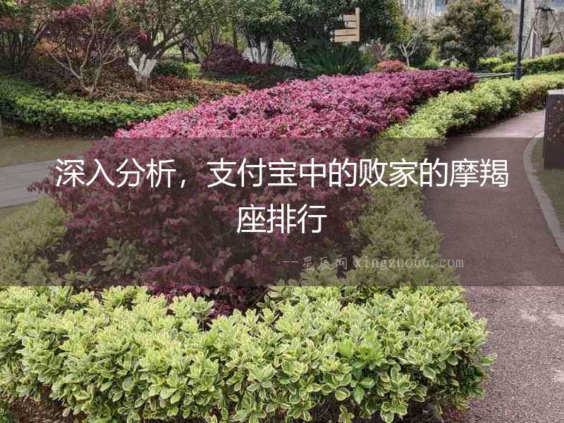 深入分析，支付寶中的敗家的摩羯座排行