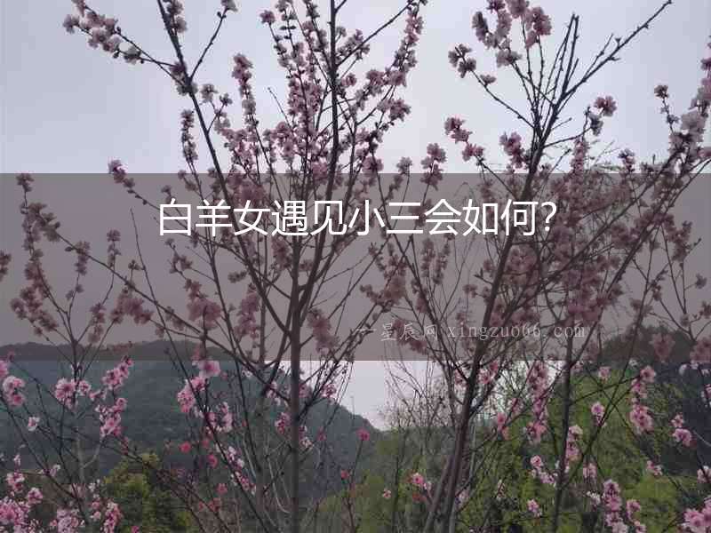 白羊女遇見小三會如何？