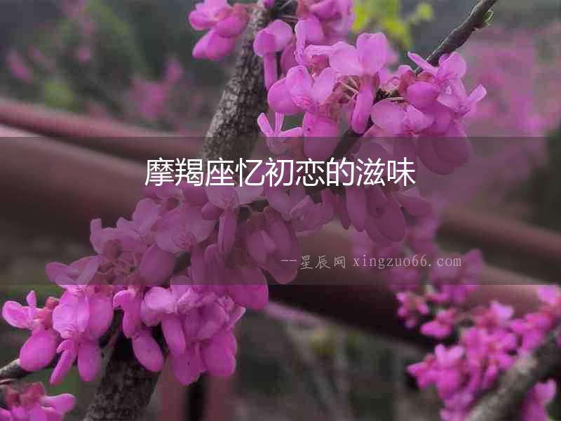 摩羯座憶初戀的滋味