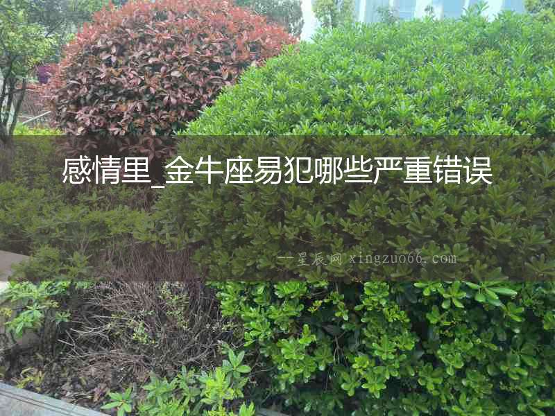 感情里_金牛座易犯哪些嚴重錯誤