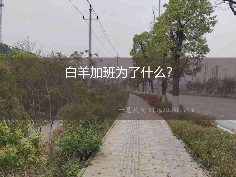 白羊加班為了什么？