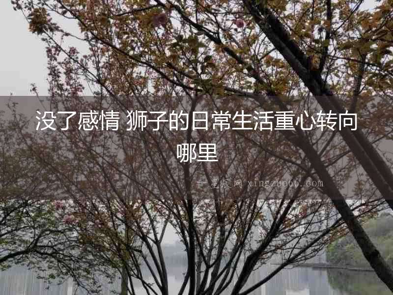 沒了感情 獅子的日常生活重心轉向哪里