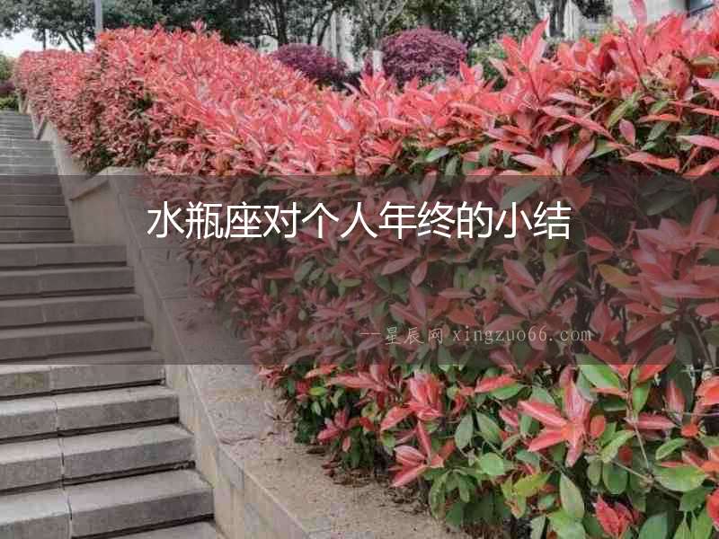 水瓶座對個人年終的小結