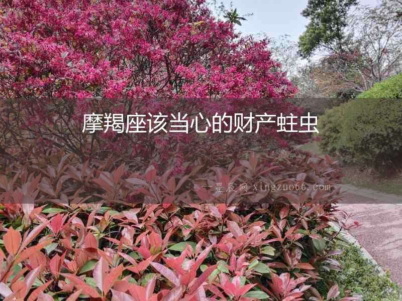 摩羯座該當心的財產蛀蟲