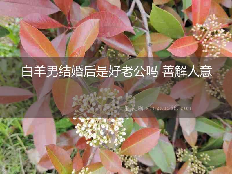 白羊男結(jié)婚后是好老公嗎 善解人意