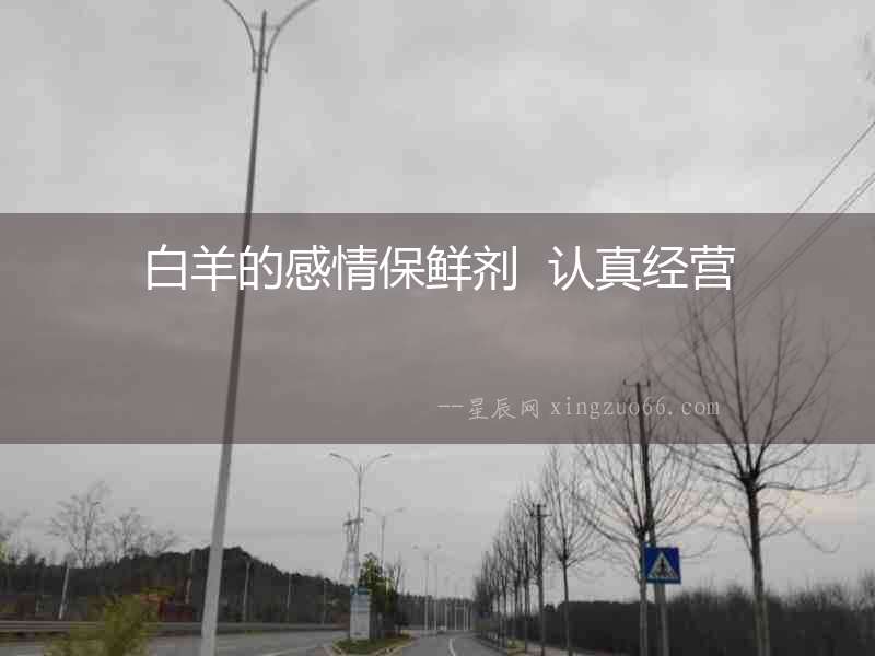 白羊的感情保鮮劑  認(rèn)真經(jīng)營