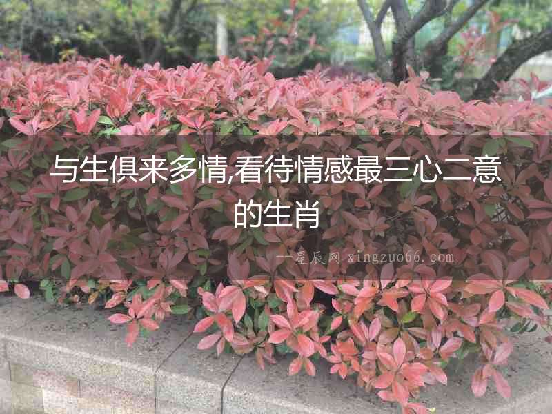 與生俱來多情,看待情感最三心二意的生肖