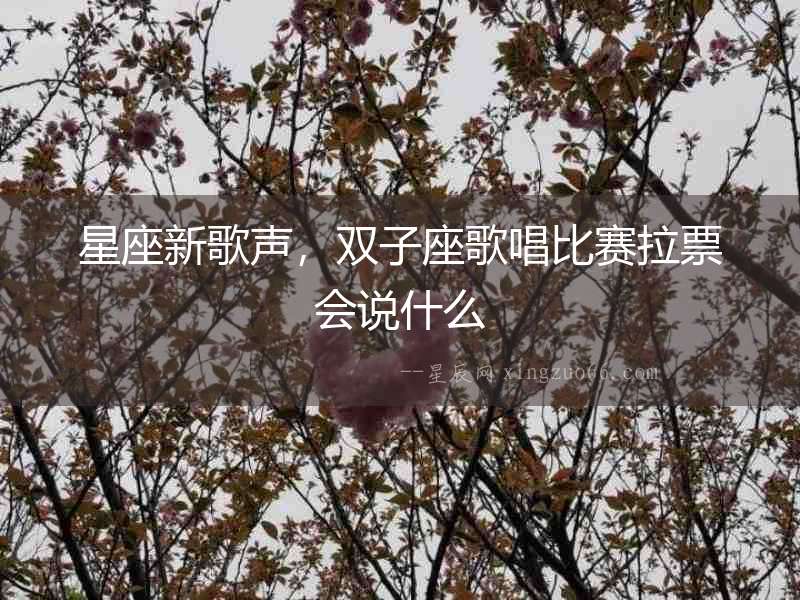 星座新歌聲，雙子座歌唱比賽拉票會(huì)說什么