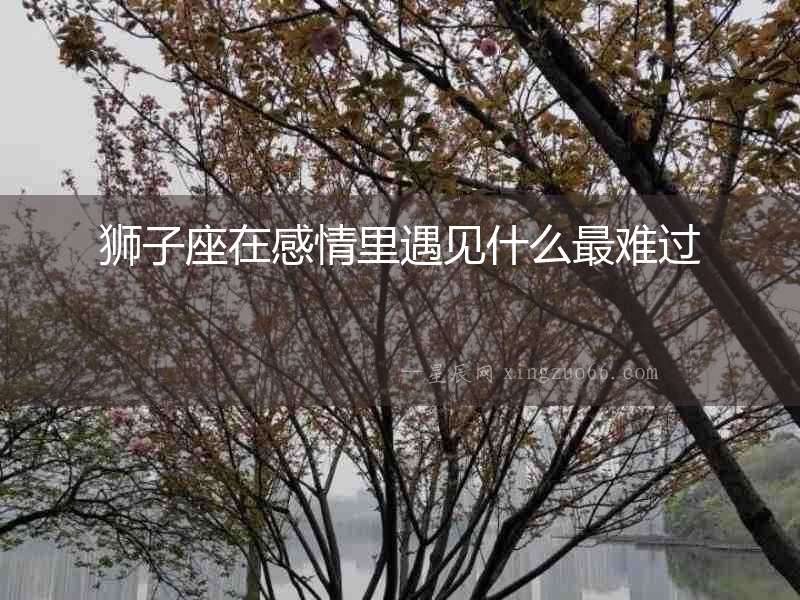 獅子座在感情里遇見什么最難過