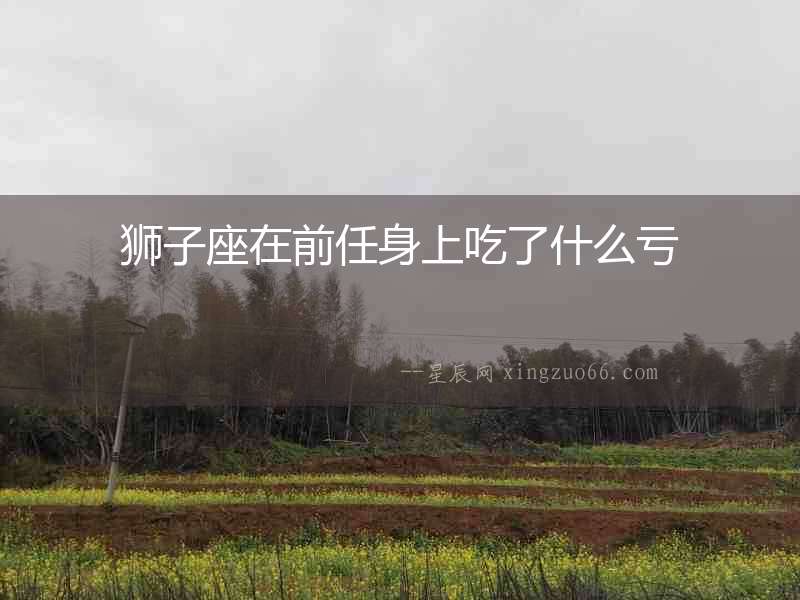 獅子座在前任身上吃了什么虧