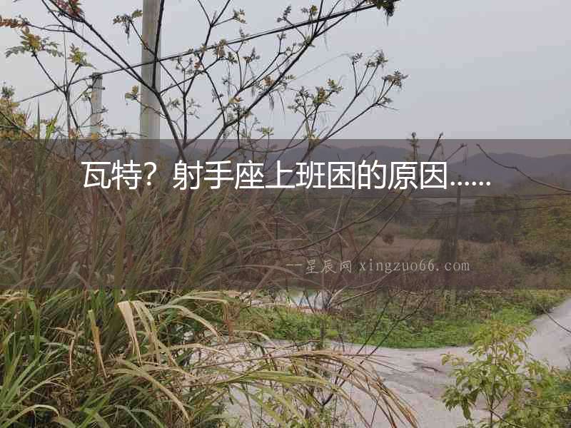 瓦特？射手座上班困的原因......