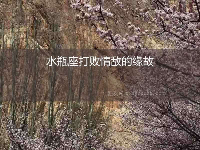 水瓶座打敗情敵的緣故