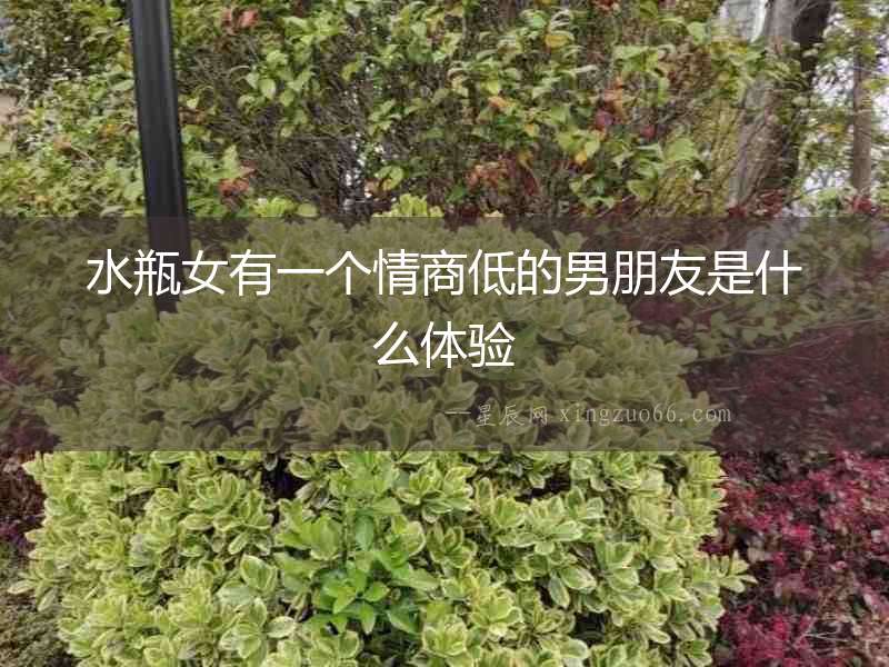 水瓶女有一個情商低的男朋友是什么體驗