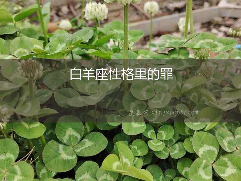 白羊座性格里的罪
