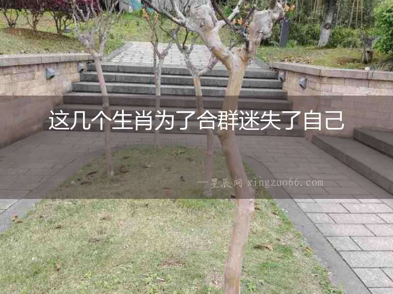這幾個生肖為了合群迷失了自己