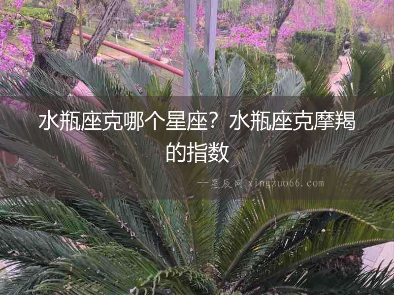 水瓶座克哪個星座？水瓶座克摩羯的指數
