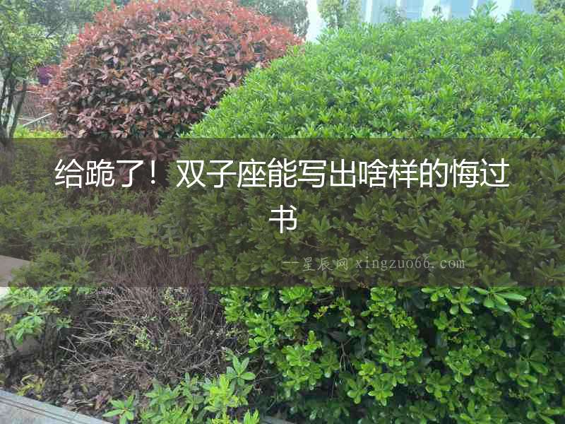 給跪了！雙子座能寫出啥樣的悔過書