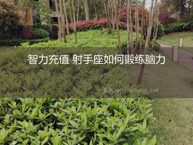 智力充值 射手座如何鍛練腦力