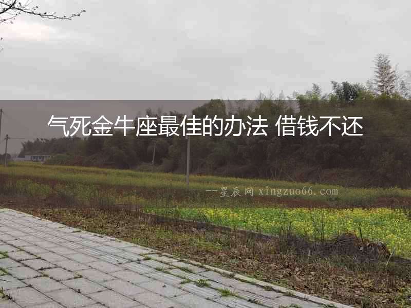 氣死金牛座最佳的辦法 借錢不還